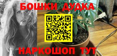 сатива Шахты