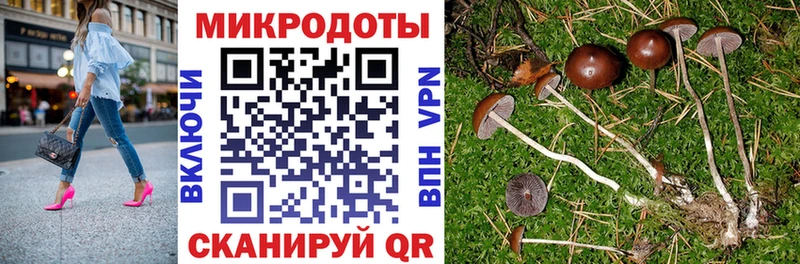 Псилоцибиновые грибы прущие грибы  маркетплейс наркотические препараты  Симферополь  МЕГА рабочий сайт 