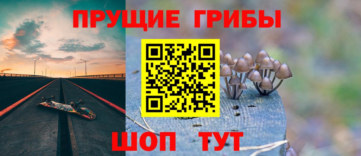 Симферополь  Псилоцибиновые грибы мицелий  цены наркотик  Вход с VPN 